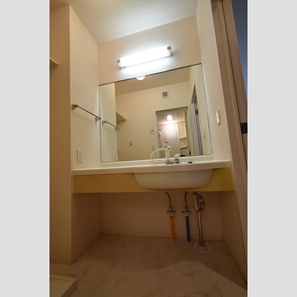 ドミール・フジ 洗面