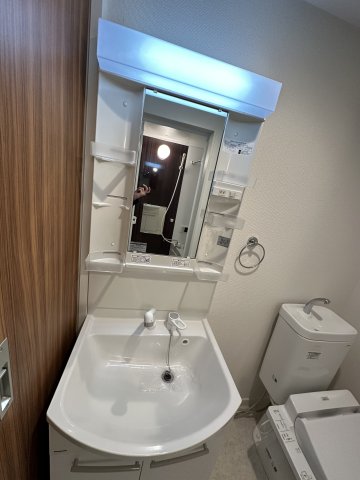 ベイルーム藤棚203号室 洗面