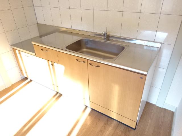 ランゲスレーベン　五月台201号室 キッチン