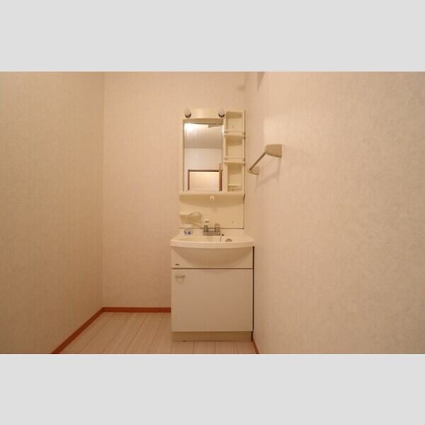 ロイヤルガーデン　B102号室 洗髪洗面化粧台