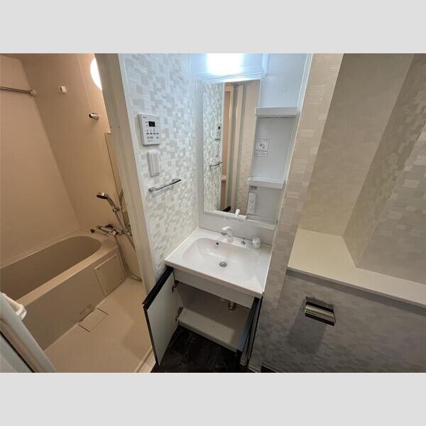 S-RESIDENCE横濱阪東橋 洗面