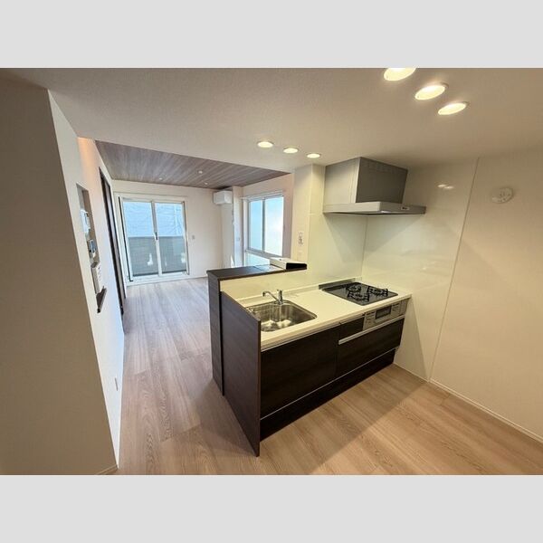 シンビジウム湘南台201号室 キッチン