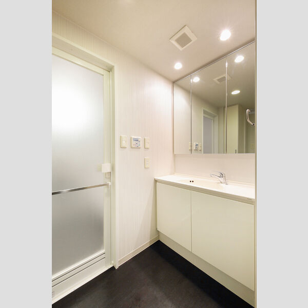 カスタリア三宿0307号室 洗面化粧台