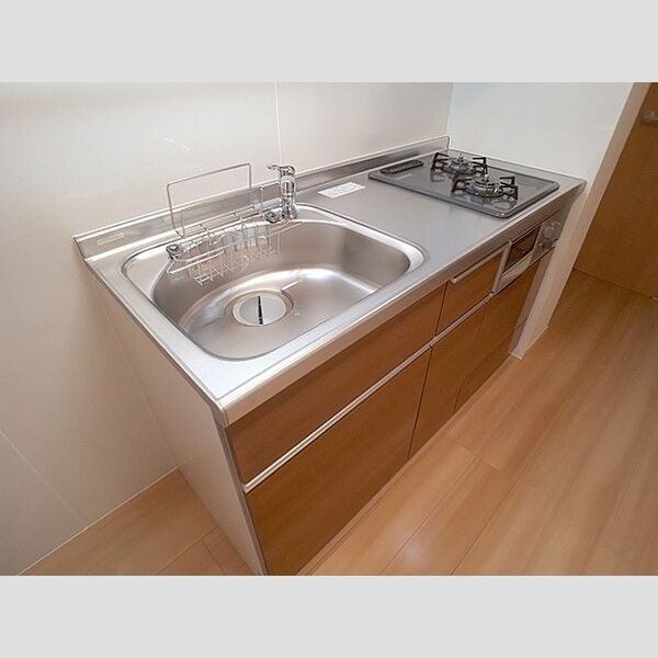 グレイスバレー永田東105号室 システムキッチン