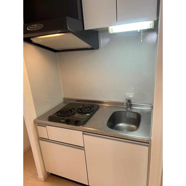 Rising Place石川町401号室 部屋その他