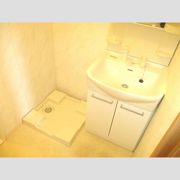 ラ・レアール・パス103号室 洗髪洗面化粧台、室内洗濯機置場