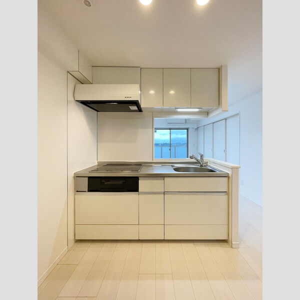 Garden House Ⅲ 大宮土呂駅前701号室 システムキッチン