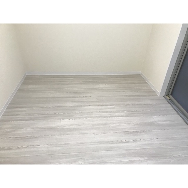 ドリームスペースマンションC-04号室 リビング