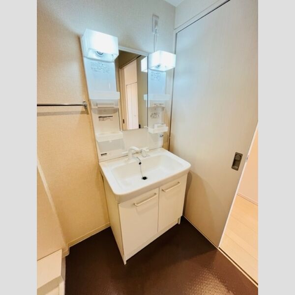 エレガントヴィラ206号室 洗髪洗面化粧台