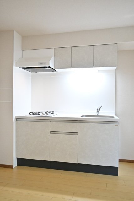 ＣＥＮＴＲＡＬ　ＧＡＲＤＥＮ　ＲＥＳＩＤＥＮＣＥ　ＴＯＫＹＯ1階 キッチン