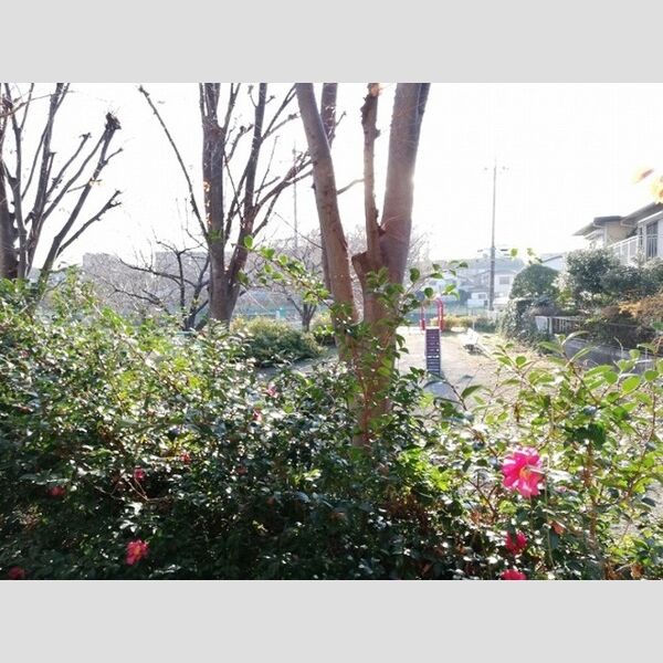 グリーンパーク107号室 眺望