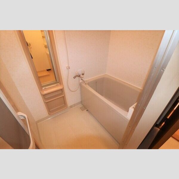 メゾン・フラワーヒル103号室 ユニットバス