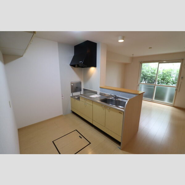 リビングタウン北上尾　A102号室 対面キッチン
