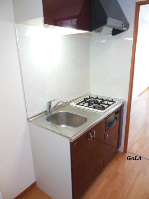 グランド・ガーラ横浜関内 大型レンジフード付/ガスコンロ2口・グリル付き