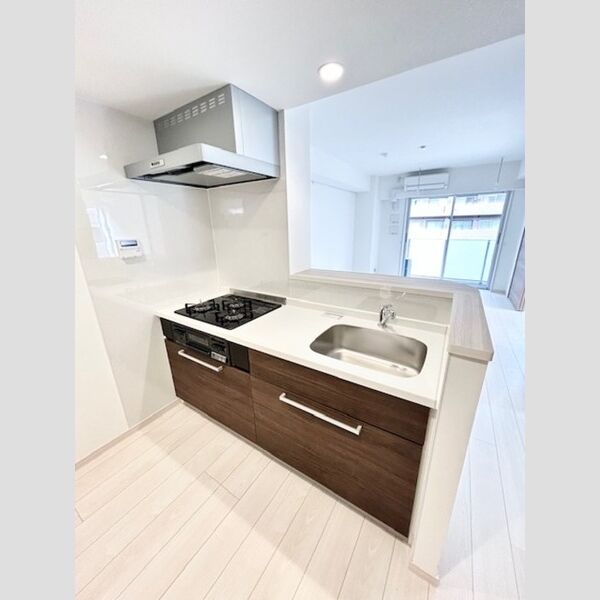 カスタリア西船橋Ⅱ0301号室 キッチン