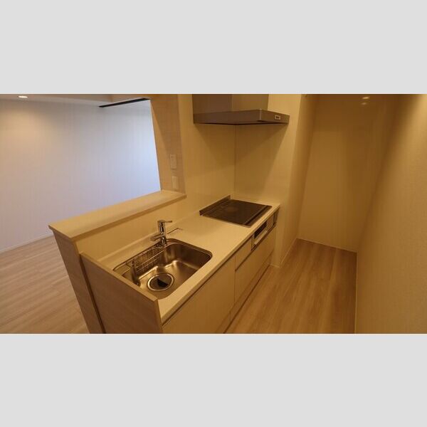 ONARIGOTENーD303号室 キッチン