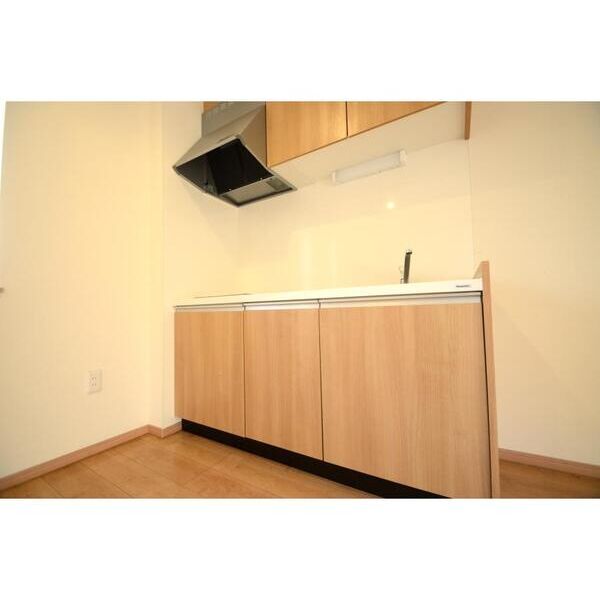 アヴェニュー唐木田201号室 キッチン