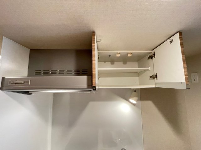 DIPS高田馬場駅前302号室 収納