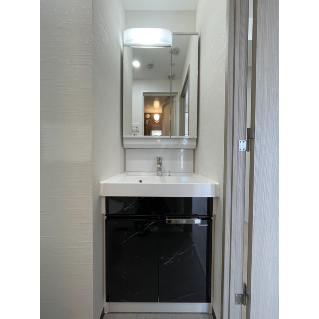 プレール・ドゥーク戸越銀座通り 独立洗面化粧台