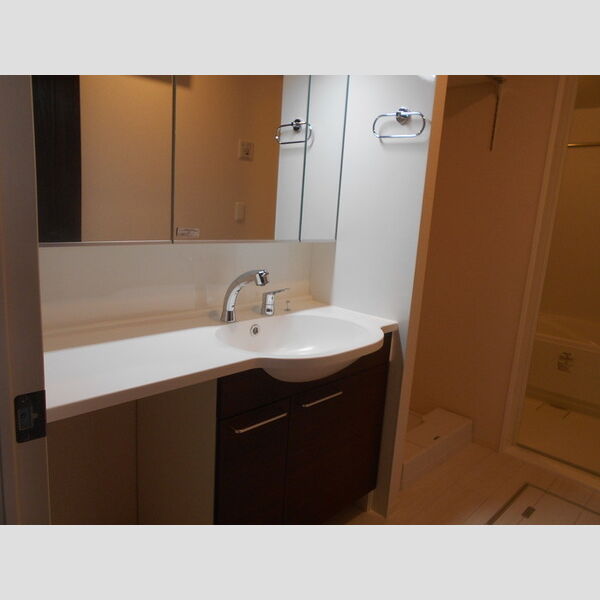 K-プレイス・レイクタウン Ⅱ 洗髪洗面化粧台