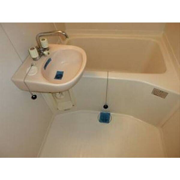 ラ・レジダンス・ド・鷺沼0211号室 洗面