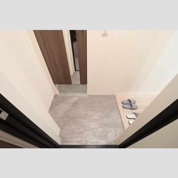 STELLA新松戸203号室 玄関