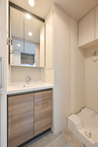 リビオメゾン西麻布502号室 洗面