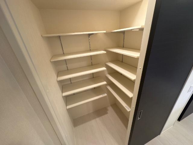 ｓｕｎｓｈｉｎｅ　ｒｅｓｉｄｅｎｃｅ101号室 キッチン裏収納