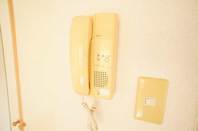 コーポニッコー0202号室 セキュリティ