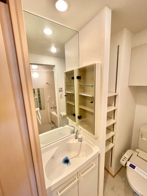 レジディア大森9階 洗面