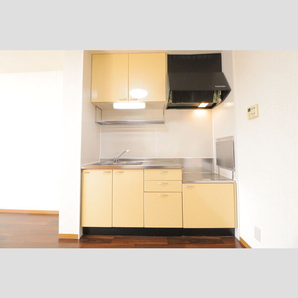 パストラル　Ⅰ/Ⅱ キッチン