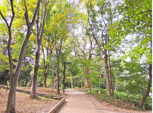武蔵小山　小山台 林試の森公園まで徒歩１分