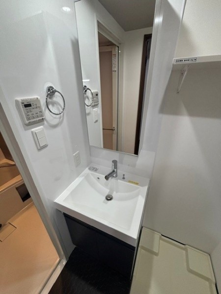Ｔｈｅ　Ｓｈｉｎａｇａｗａ　Ｅａｓｔ　Ｒｅｓｉｄｅｎｃｅ2階 洗面