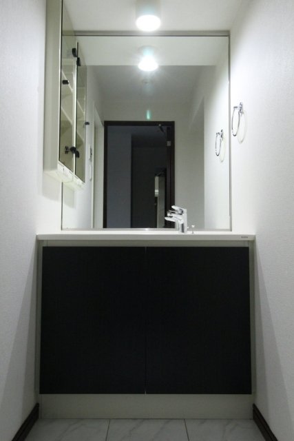 パレステュディオ汐留ＷＥＳＴ 洗面