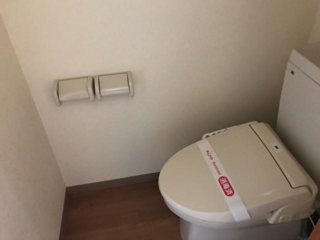 ＴＩＡＲＡ（ティアラ）305号室 シャワー付トイレ