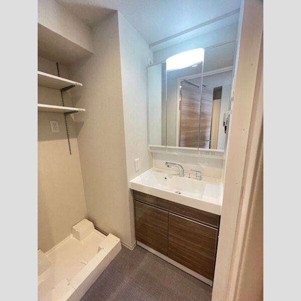 ロイジェント扇橋0603号室 洗面所