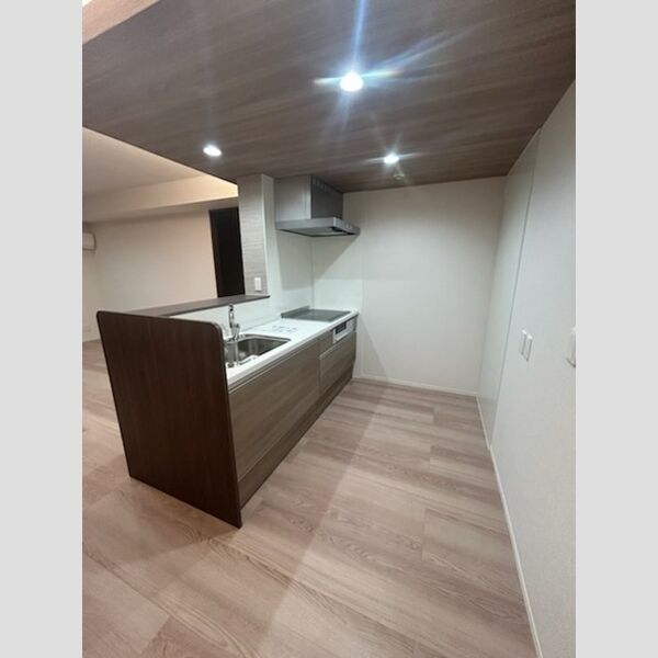 センカⅢ303号室 システムキッチン