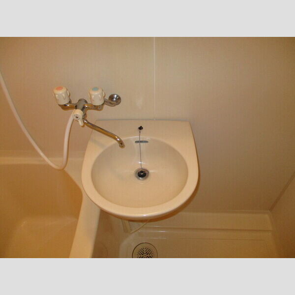 サザンクロスⅡ Ⅱ102(洗面台)