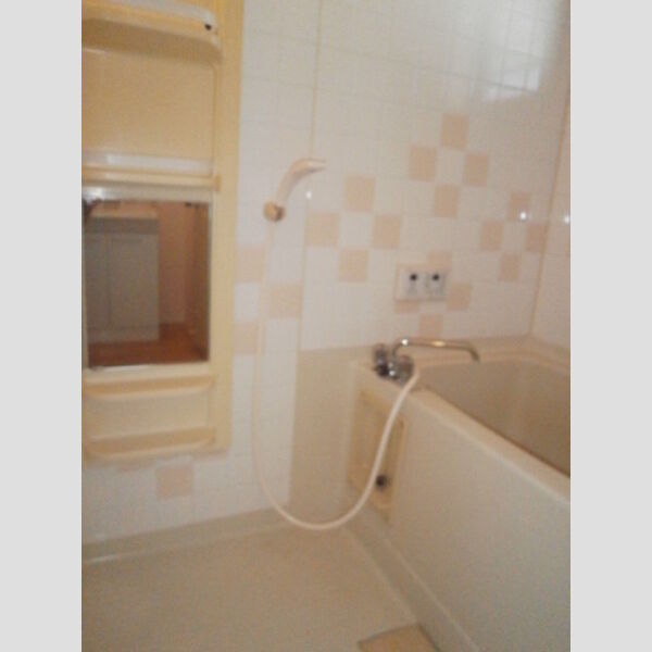 グリーンヒル新宿 浴室