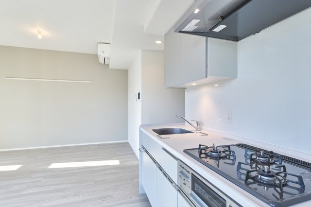 プラウドフラット錦糸町ウエスト1204号室 参考写真