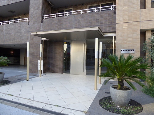 アデニウム入谷ステーションファースト エントランス　※2024年9月撮影