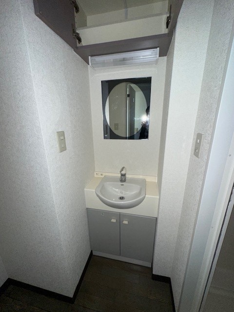 プライムステージⅡ0316号室 洗面