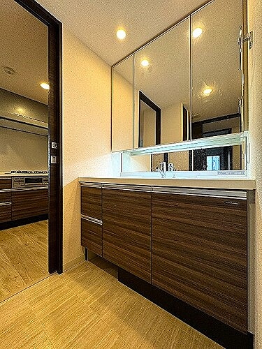 ユードリーム東川口駅前 3面鏡付化粧台　※2024年02月撮影