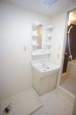 エクセルＤハイム スペースが確保できる洗面所です