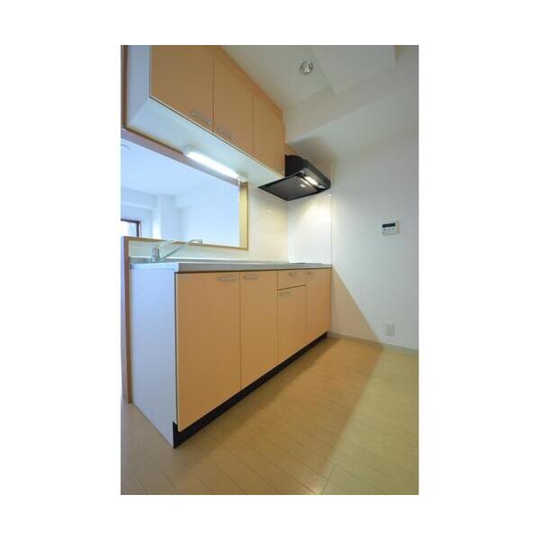 ウイングピア美園 キッチン