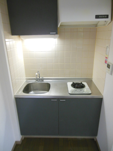 ガラ・シティ高井戸6階 キッチン