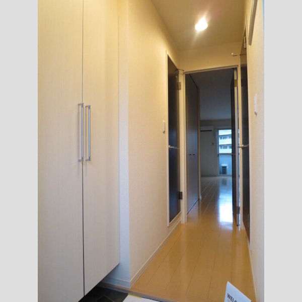 カリーナ　カーサ203号室 玄関