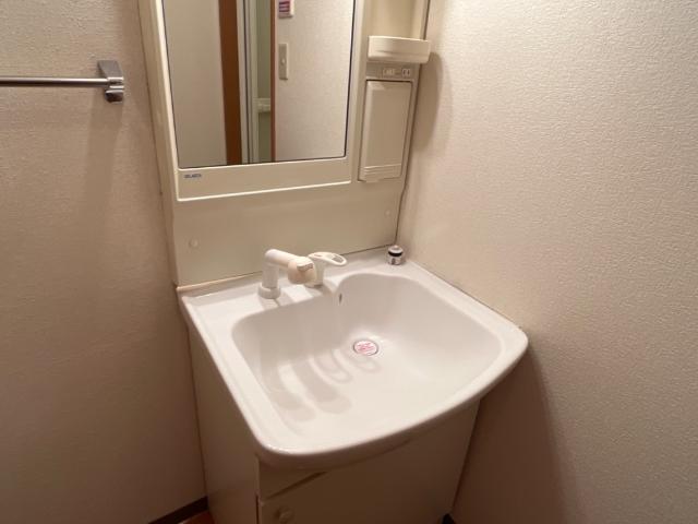 フローラーリア湘南203号室 洗髪洗面化粧台