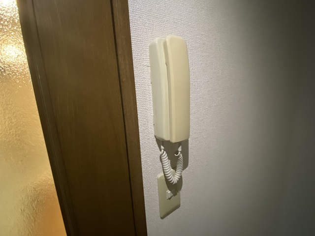 グリーンリーフ綱島弐番館0302号室 セキュリティ