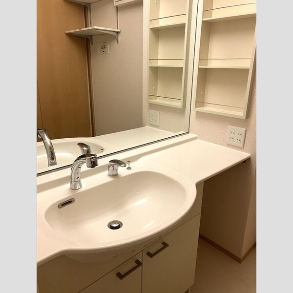 ガーデンハウス　C102号室 洗髪洗面化粧台